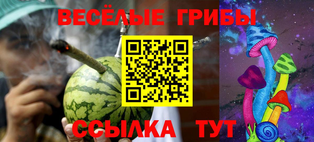 Дивногорск  Галлюциногенные грибы прущие грибы  Псилоцибиновые грибы GOLDEN TEACHER  Вход с VPN 