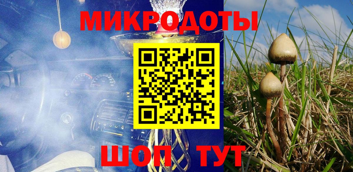 Псилоцибиновые грибы мицелий Дивногорск